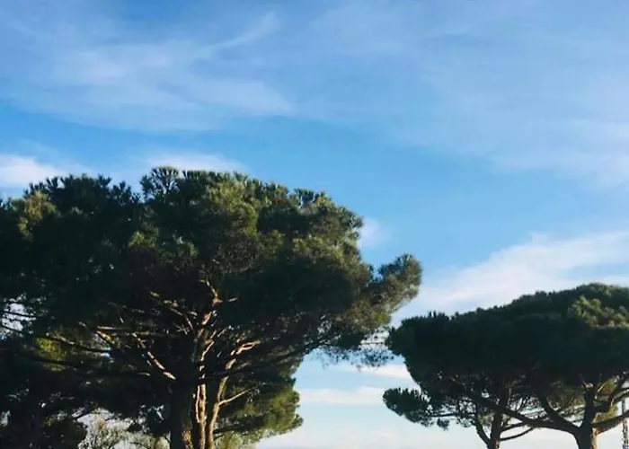 Apartment Nala Avec Terrasse, Parking Privatif, Piscine Dans , Wifi, Menage Compris