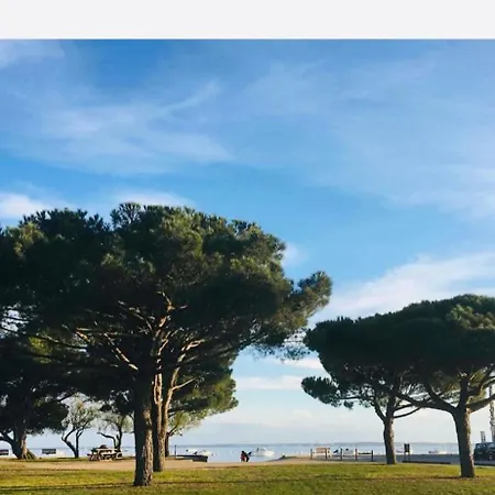 Appartement Du Port Avec Terrasse, Parking Privatif, Piscine Dans Résidence , Wifi, Ménage Compris