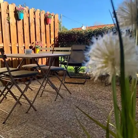 Appartement Du Port Avec Terrasse, Parking Privatif, Piscine Dans Résidence , Wifi, Ménage Compris